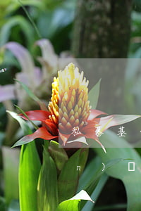 私募基金產(chǎn)品備案現(xiàn)狀、產(chǎn)品設(shè)計(jì)分析與操作實(shí)務(wù)